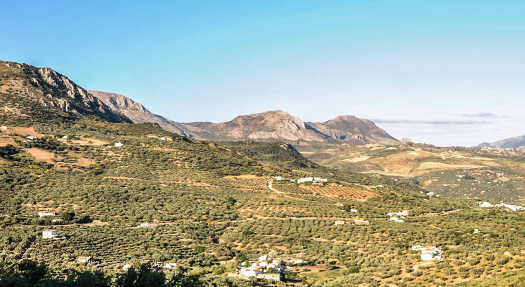 vista-museo-aceite